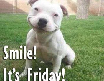 Smile It Is Friday Best Funny Good Friday Pics Good Morning Images, Quotes, Wishes, Messages, greetings & eCards